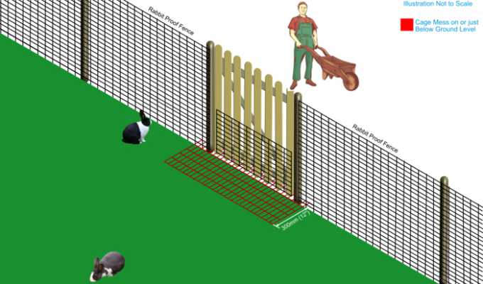 illustration-of-how-to-rabbit-proof-a-garden-gate