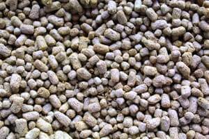 nuggets-to-supplement-minerals