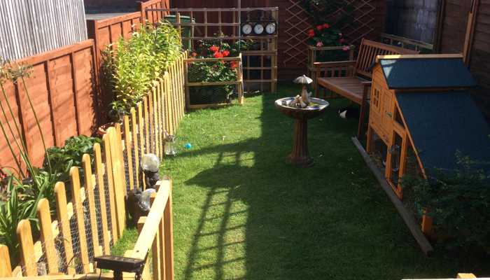 my-garden-now-an-escape-proofed-rabbit-playground