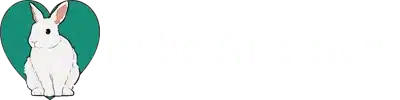 Transparent-logo.webp