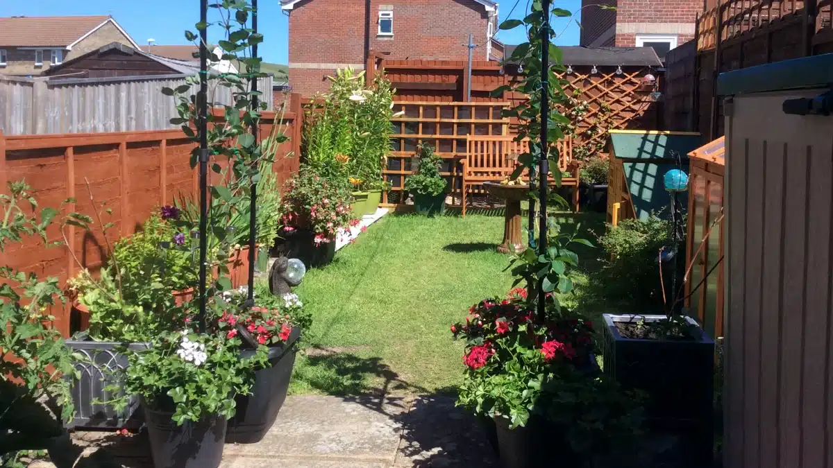 rabbit-proof-garden-featured-image